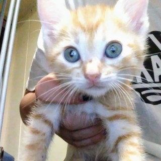 自宅出産！赤ちゃん！４人兄弟の一人 ！