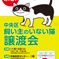 中央区飼い主のいない猫譲渡会