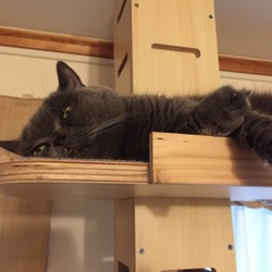 季節の変わり目 対策