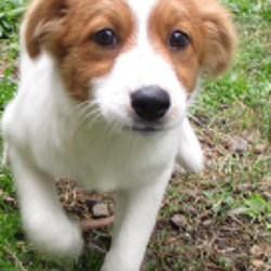 １１月１０日(日)新座里親会