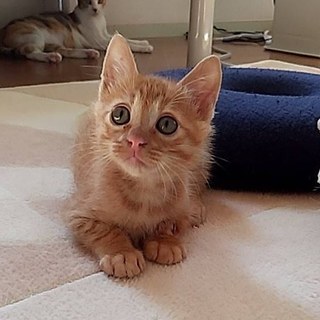 一人ぼっちで過ごしたパイン❤️