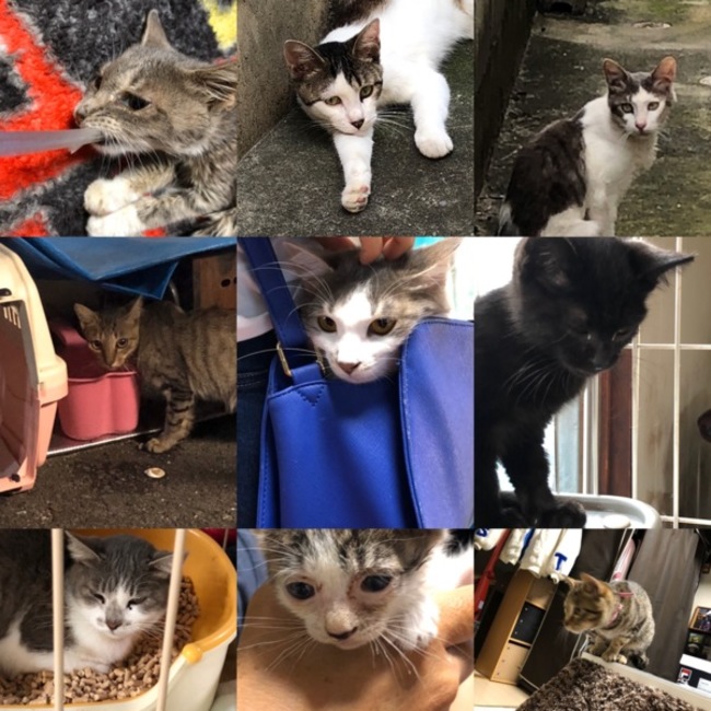 mmkのカバー写真