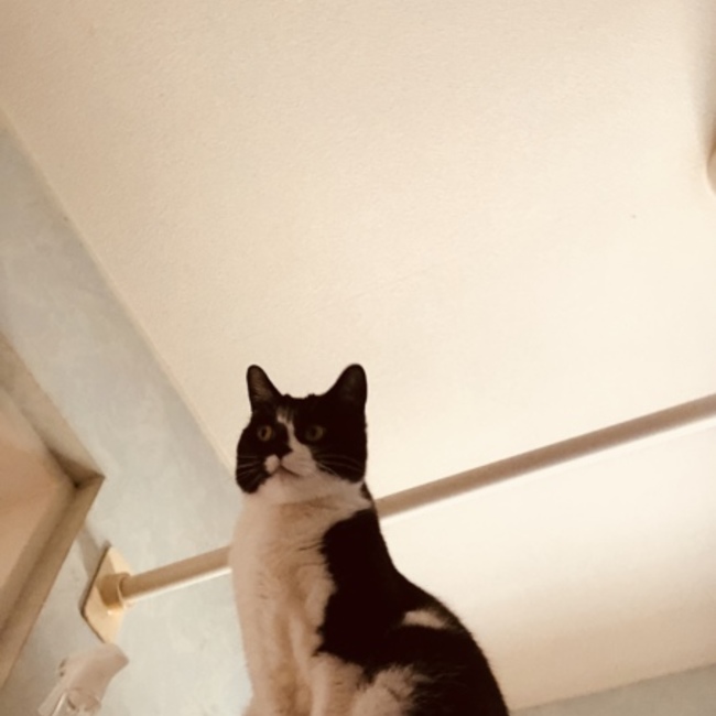 aminko222のカバー写真