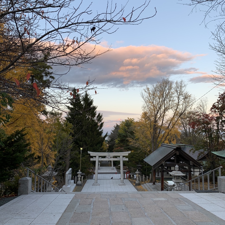 ジェスのカバー写真