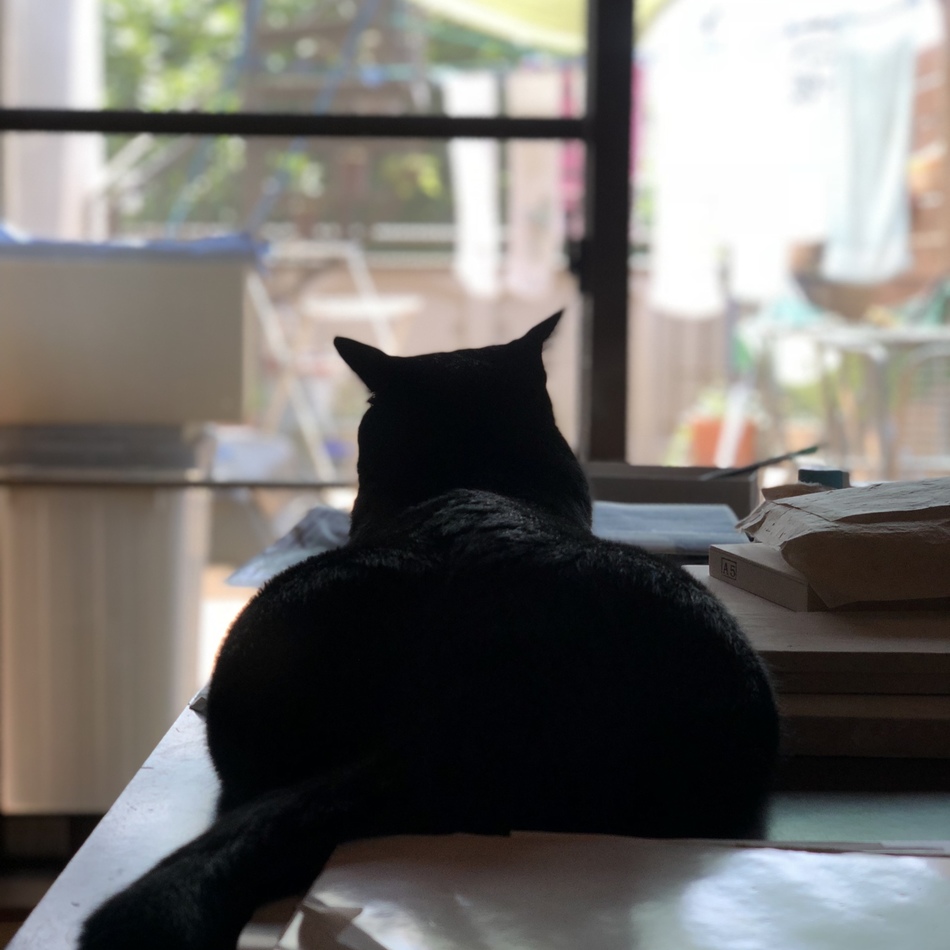 こころのカバー写真