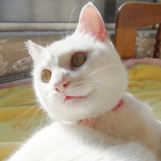 光り輝く真珠のような女の子☆性格抜群