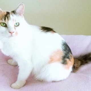 ベタベタの甘えたさん♡