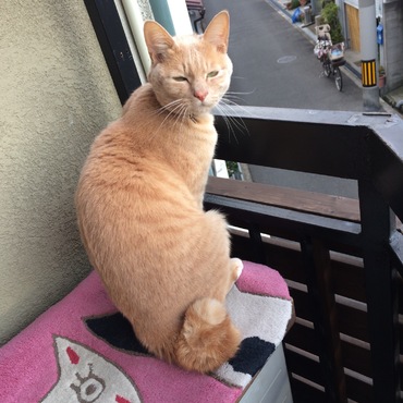 健の写真