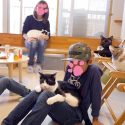 ■お見合い会＆ふれあい授業参観■新大阪■ サムネイル3