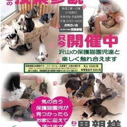 ■お見合い会＆ふれあい授業参観■新大阪■ サムネイル1