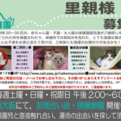 ■お見合い会＆ふれあい授業参観■新大阪■ サムネイル2