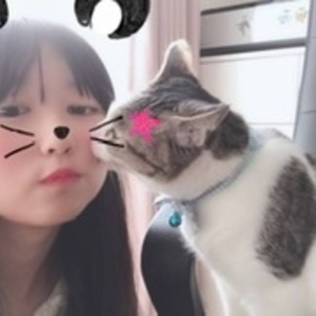 夜叉姫リカちゃんのカバー写真