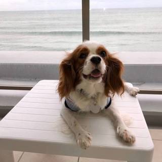 愛らしさ満点♡フレンドリーなうぶちゃん