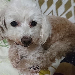 抱っこ大好き元気なお婆ちゃん