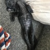 の写真