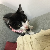 らい