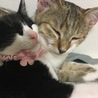 一緒に住んでいる、ちいが大好き！