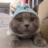 なにしても可愛い♡