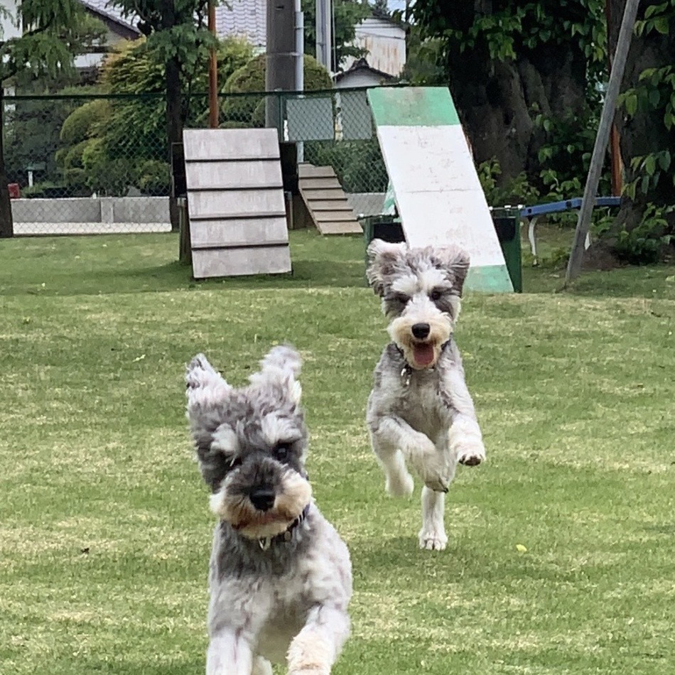 るぱのカバー写真
