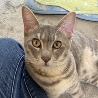 ジャブ