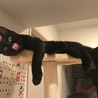 の写真