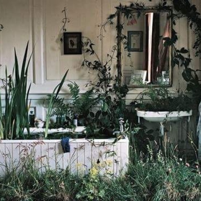 つぶあんこしあんのカバー写真