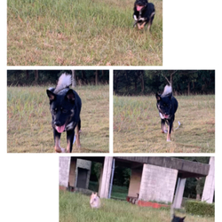 「笑ってる(≧▽≦)」サムネイル1