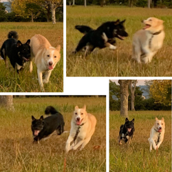 「笑ってる(≧▽≦)」サムネイル2