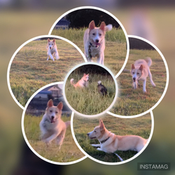 「笑ってる(≧▽≦)」サムネイル3