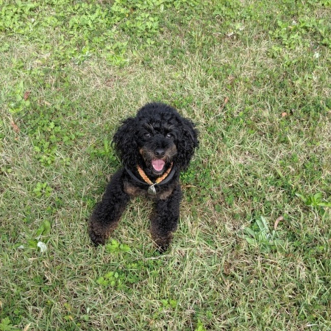 健翔さんのカバー写真