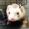 里親さん決定しました！ サムネイル3
