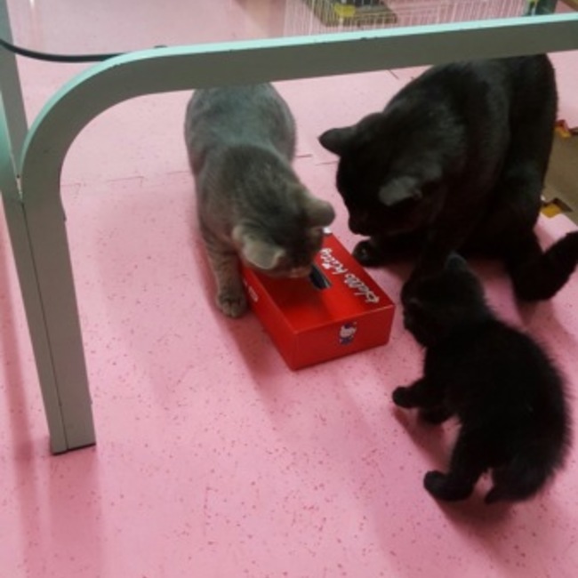 maachan_93のカバー写真