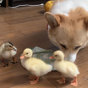 の写真