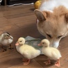 の写真