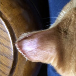 やった〜‼︎((o(^∇^)o))