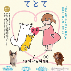 犬猫譲渡会『てとて』