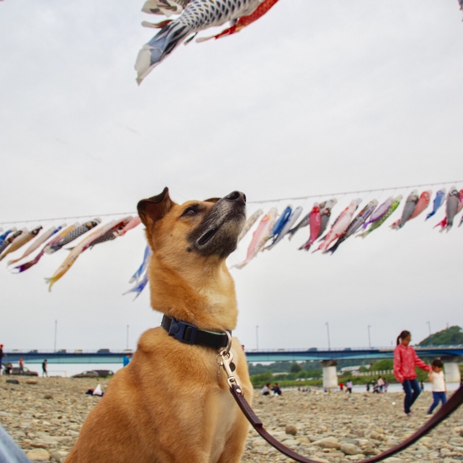 そうたのカバー写真