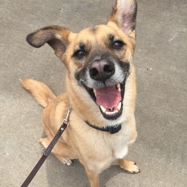 お出かけ楽しそう♪