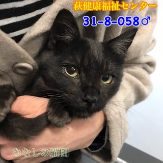 甘えん坊のビビりくん♡まだ子供です(>_<)