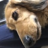 気にしてますね。