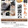 名古屋市昭和区★昭和にゃんこ譲渡会