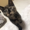 生後2か月です