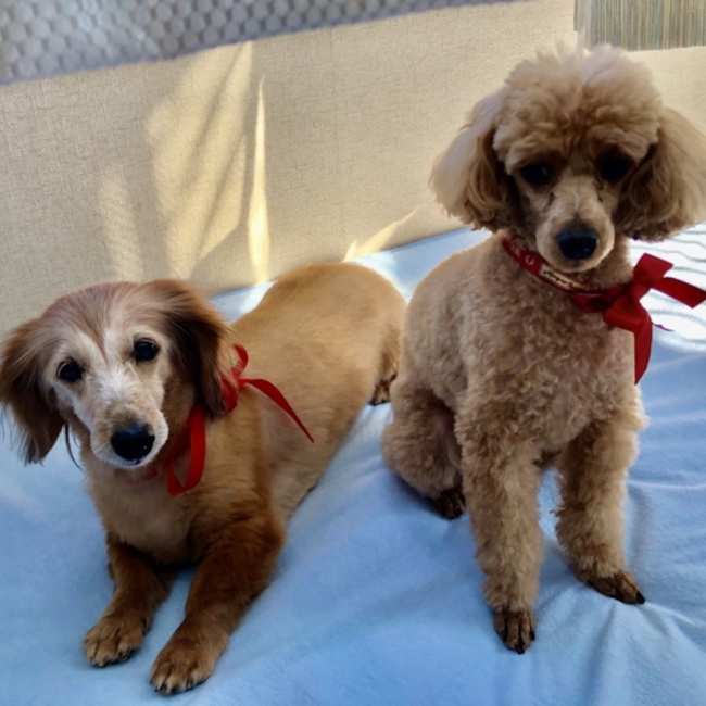 ハッピーワンのカバー写真