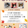 【11/10東日本橋】可愛い三毛猫♡むぎちゃん サムネイル7