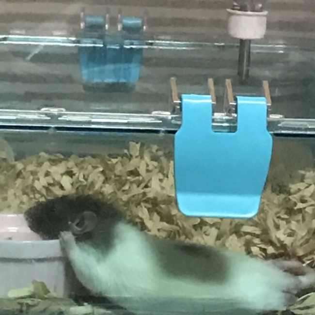 那のカバー写真