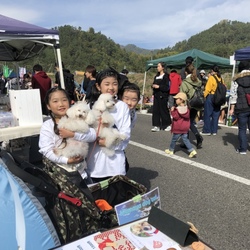 アルプス公園フリーマーケット サムネイル3