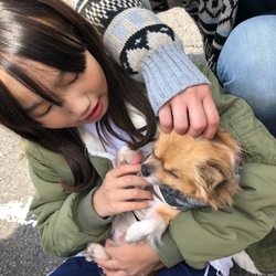 アルプス公園フリーマーケット サムネイル2