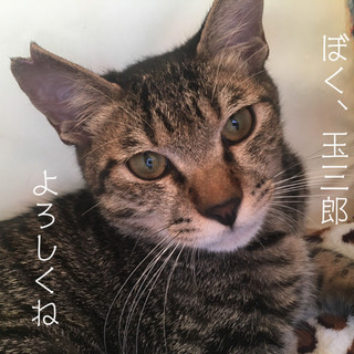 人懐っこくて可愛いコです！