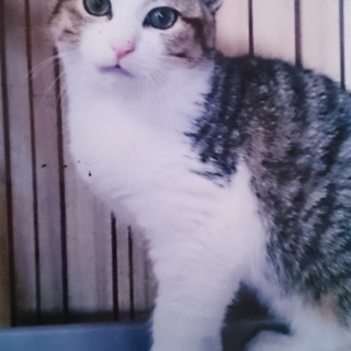 やんちゃで男前 イサク