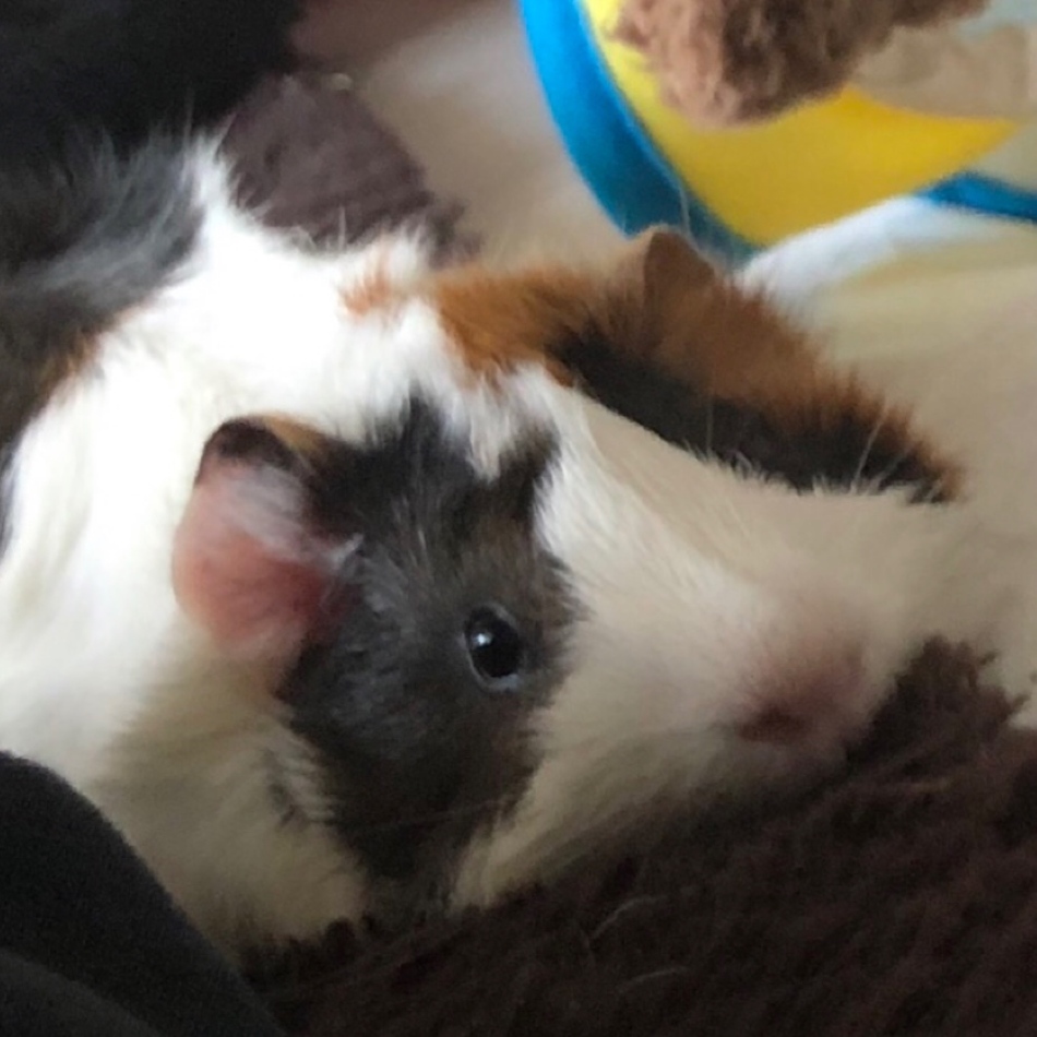 ぼぉちゃんのカバー写真